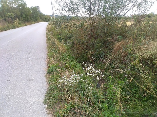 Подигнута оптужница за тешко убиство у Кнежици